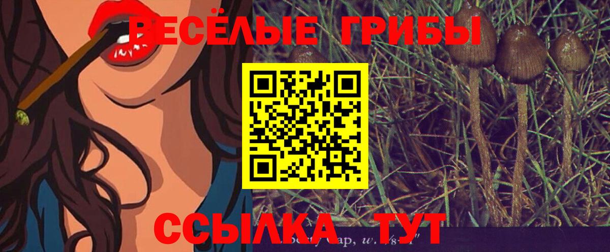 Псилоцибиновые грибы прущие грибы  Вход с VPN  Галлюциногенные грибы Magic Shrooms  Бугуруслан 